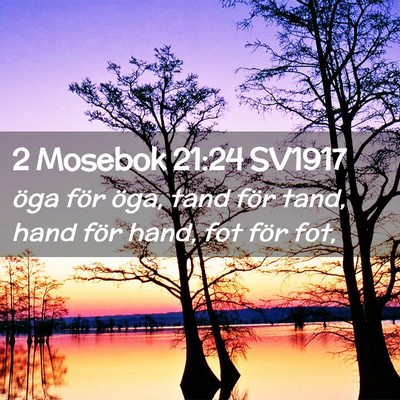 Picture 02 - 2 Mosebok 21:24 SV1917 - öga för öga, tand för tand, hand för hand, - Bible Verse Picture