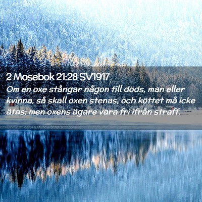 Picture 02 - 2 Mosebok 21:28 SV1917 - Om en oxe stångar någon till döds, man eller - Bible Verse Picture