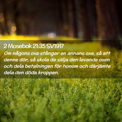 Picture 02 - 2 Mosebok 21:35 SV1917 - Om någons oxe stångar en annans oxe, så att - Bible Verse Picture