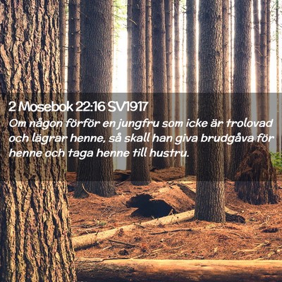 Picture 02 - 2 Mosebok 22:16 SV1917 - Om någon förför en jungfru som icke är - Bible Verse Picture