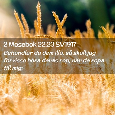 Picture 02 - 2 Mosebok 22:23 SV1917 - Behandlar du dem illa, så skall jag förvisso - Bible Verse Picture