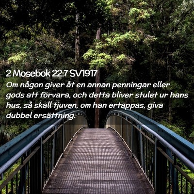Picture 02 - 2 Mosebok 22:7 SV1917 - Om någon giver åt en annan penningar eller gods - Bible Verse Picture
