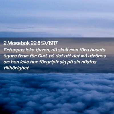 Picture 02 - 2 Mosebok 22:8 SV1917 - Ertappas icke tjuven, då skall man föra husets - Bible Verse Picture