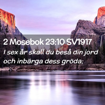 Picture 02 - 2 Mosebok 23:10 SV1917 - I sex år skall du beså din jord och inbärga - Bible Verse Picture