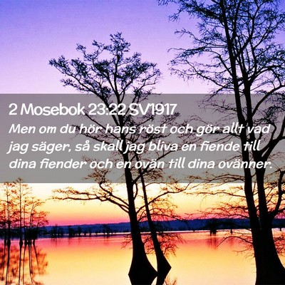 Picture 02 - 2 Mosebok 23:22 SV1917 - Men om du hör hans röst och gör allt vad jag - Bible Verse Picture