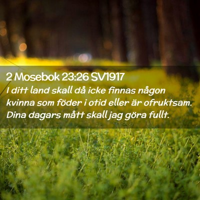 Picture 02 - 2 Mosebok 23:26 SV1917 - I ditt land skall då icke finnas någon kvinna - Bible Verse Picture