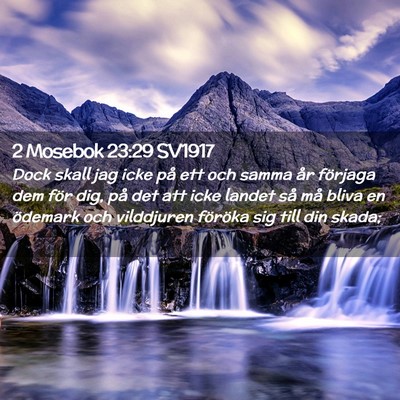 Picture 02 - 2 Mosebok 23:29 SV1917 - Dock skall jag icke på ett och samma år - Bible Verse Picture