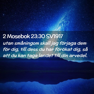 Picture 02 - 2 Mosebok 23:30 SV1917 - utan småningom skall jag förjaga dem för dig, - Bible Verse Picture