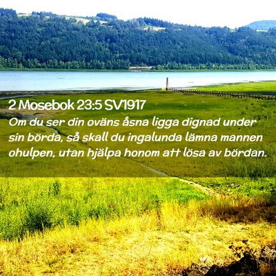 Picture 02 - 2 Mosebok 23:5 SV1917 - Om du ser din oväns åsna ligga dignad under sin - Bible Verse Picture