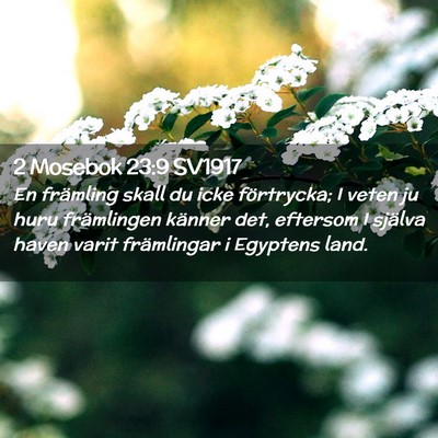 Picture 02 - 2 Mosebok 23:9 SV1917 - En främling skall du icke förtrycka; I veten ju - Bible Verse Picture