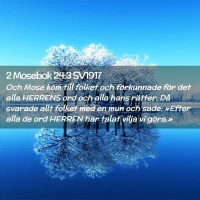 Picture 02 - 2 Mosebok 24:3 SV1917 - Och Mose kom till folket och förkunnade för det - Bible Verse Picture