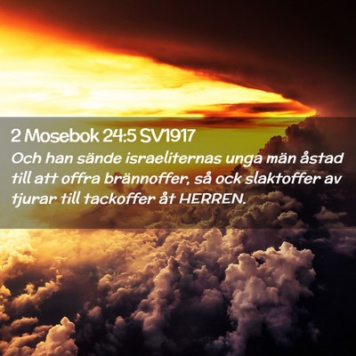 Picture 02 - 2 Mosebok 24:5 SV1917 - Och han sände israeliternas unga män åstad - Bible Verse Picture