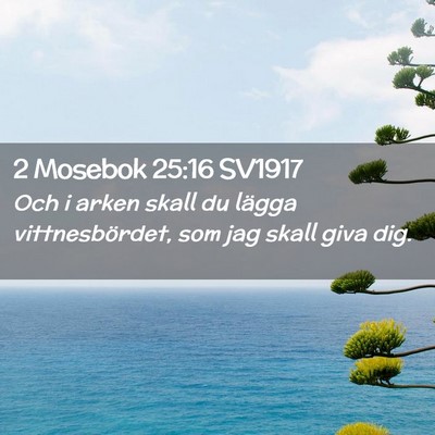 Picture 02 - 2 Mosebok 25:16 SV1917 - Och i arken skall du lägga vittnesbördet, som - Bible Verse Picture