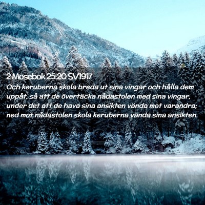 Picture 02 - 2 Mosebok 25:20 SV1917 - Och keruberna skola breda ut sina vingar och - Bible Verse Picture