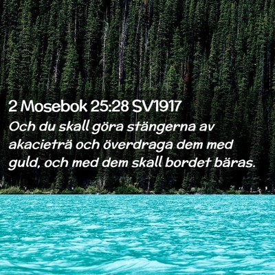Picture 02 - 2 Mosebok 25:28 SV1917 - Och du skall göra stängerna av akacieträ och - Bible Verse Picture