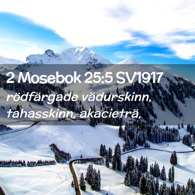 Picture 02 - 2 Mosebok 25:5 SV1917 - rödfärgade vädurskinn, tahasskinn, - Bible Verse Picture
