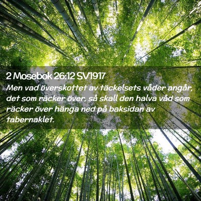 Picture 02 - 2 Mosebok 26:12 SV1917 - Men vad överskottet av täckelsets våder - Bible Verse Picture
