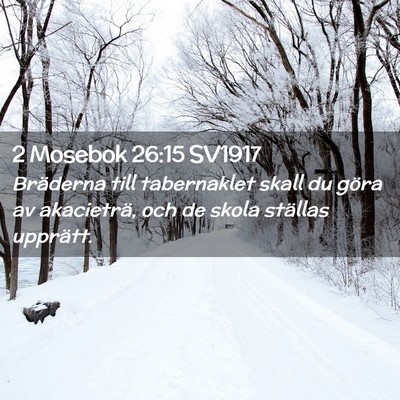 Picture 02 - 2 Mosebok 26:15 SV1917 - Bräderna till tabernaklet skall du göra av - Bible Verse Picture