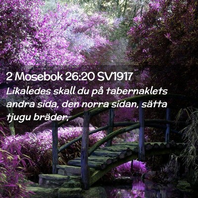 Picture 02 - 2 Mosebok 26:20 SV1917 - Likaledes skall du på tabernaklets andra sida, - Bible Verse Picture
