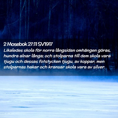 Picture 02 - 2 Mosebok 27:11 SV1917 - Likaledes skola för norra långsidan omhängen - Bible Verse Picture