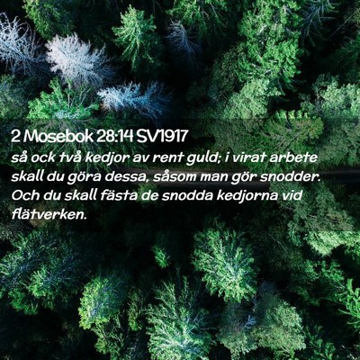 Picture 02 - 2 Mosebok 28:14 SV1917 - så ock två kedjor av rent guld; i virat arbete - Bible Verse Picture