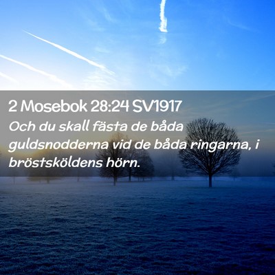 Picture 02 - 2 Mosebok 28:24 SV1917 - Och du skall fästa de båda guldsnodderna vid de - Bible Verse Picture