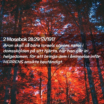 Picture 02 - 2 Mosebok 28:29 SV1917 - Aron skall så bära Israels söners namn i - Bible Verse Picture