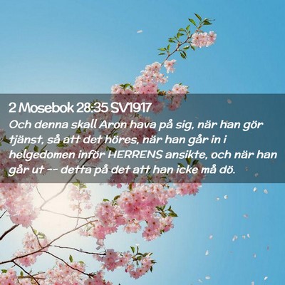 Picture 02 - 2 Mosebok 28:35 SV1917 - Och denna skall Aron hava på sig, när han gör - Bible Verse Picture