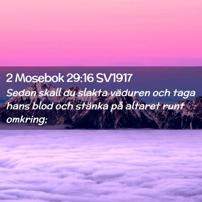 Picture 02 - 2 Mosebok 29:16 SV1917 - Sedan skall du slakta väduren och taga hans blod - Bible Verse Picture