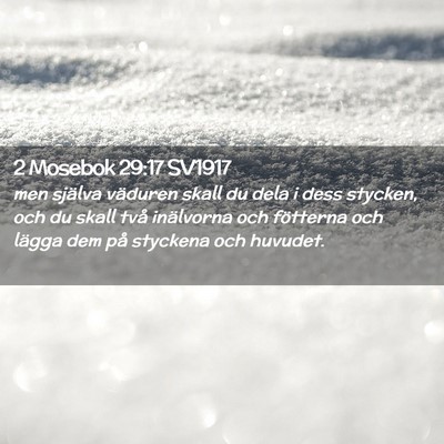 Picture 02 - 2 Mosebok 29:17 SV1917 - men själva väduren skall du dela i dess - Bible Verse Picture