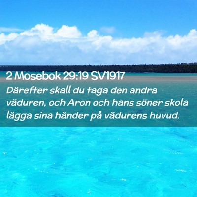 Picture 02 - 2 Mosebok 29:19 SV1917 - Därefter skall du taga den andra väduren, och - Bible Verse Picture