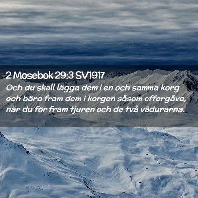 Picture 02 - 2 Mosebok 29:3 SV1917 - Och du skall lägga dem i en och samma korg och - Bible Verse Picture