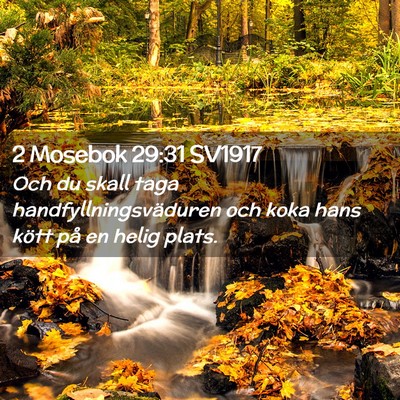 Picture 02 - 2 Mosebok 29:31 SV1917 - Och du skall taga handfyllningsväduren och koka - Bible Verse Picture