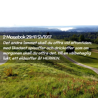 Picture 02 - 2 Mosebok 29:41 SV1917 - Det andra lammet skall du offra vid aftontiden; - Bible Verse Picture