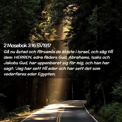 Picture 02 - 2 Mosebok 3:16 SV1917 - Gå nu åstad och församla de äldste i Israel, - Bible Verse Picture