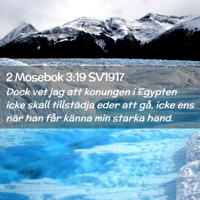 Picture 02 - 2 Mosebok 3:19 SV1917 - Dock vet jag att konungen i Egypten icke skall - Bible Verse Picture