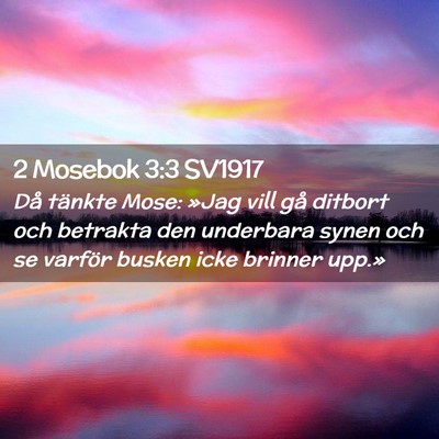 Picture 02 - 2 Mosebok 3:3 SV1917 - Då tänkte Mose: »Jag vill gå ditbort och - Bible Verse Picture