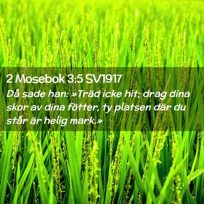 Picture 02 - 2 Mosebok 3:5 SV1917 - Då sade han: »Träd icke hit; drag dina skor av - Bible Verse Picture
