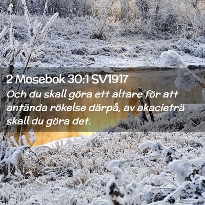 Picture 02 - 2 Mosebok 30:1 SV1917 - Och du skall göra ett altare för att antända - Bible Verse Picture