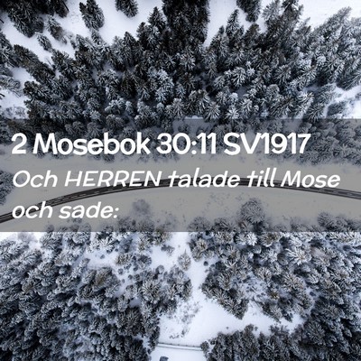 Picture 02 - 2 Mosebok 30:11 SV1917 - Och HERREN talade till Mose och - Bible Verse Picture
