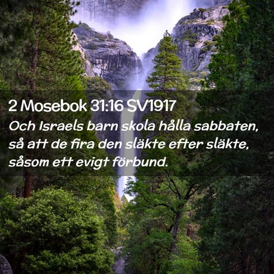 Picture 02 - 2 Mosebok 31:16 SV1917 - Och Israels barn skola hålla sabbaten, så att - Bible Verse Picture