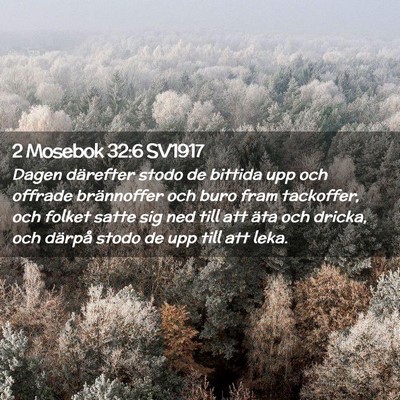 Picture 02 - 2 Mosebok 32:6 SV1917 - Dagen därefter stodo de bittida upp och offrade - Bible Verse Picture