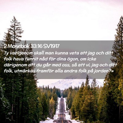 Picture 02 - 2 Mosebok 33:16 SV1917 - Ty varigenom skall man kunna veta att jag och - Bible Verse Picture