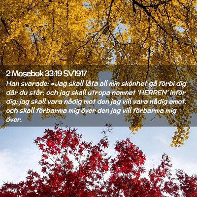 Picture 02 - 2 Mosebok 33:19 SV1917 - Han svarade: »Jag skall låta all min skönhet - Bible Verse Picture