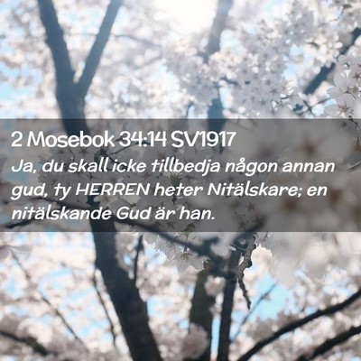 Picture 02 - 2 Mosebok 34:14 SV1917 - Ja, du skall icke tillbedja någon annan gud, ty - Bible Verse Picture