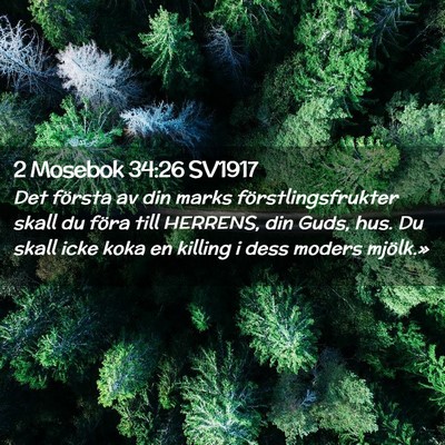 Picture 02 - 2 Mosebok 34:26 SV1917 - Det första av din marks förstlingsfrukter skall - Bible Verse Picture