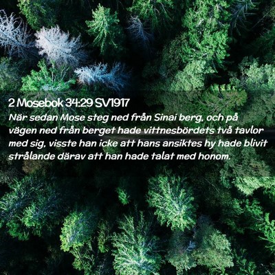 Picture 02 - 2 Mosebok 34:29 SV1917 - När sedan Mose steg ned från Sinai berg, och - Bible Verse Picture