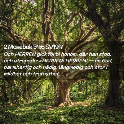 Picture 02 - 2 Mosebok 34:6 SV1917 - Och HERREN gick förbi honom, där han stod, och - Bible Verse Picture