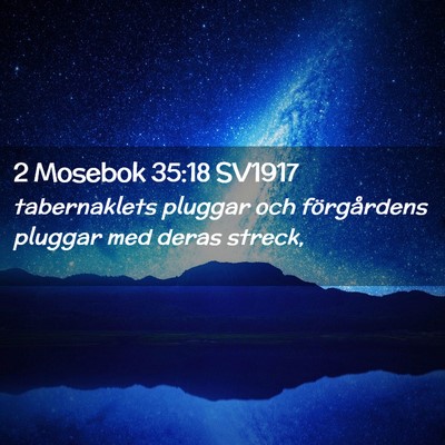 Picture 02 - 2 Mosebok 35:18 SV1917 - tabernaklets pluggar och förgårdens pluggar med - Bible Verse Picture