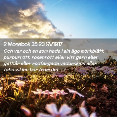 Picture 02 - 2 Mosebok 35:23 SV1917 - Och var och en som hade i sin ägo mörkblått, - Bible Verse Picture